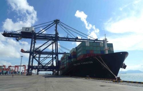 Professional food wa